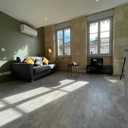 Superbes De Charme, Lumineux Et Climatisés En Plein Centre Bordeaux