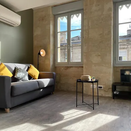 Superbes De Charme, Lumineux Et Climatises En Plein Centre Apartment Bordeaux