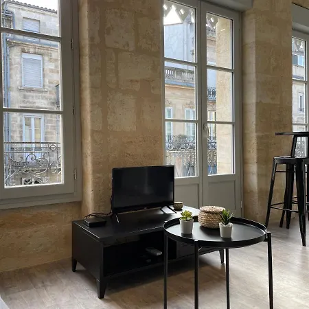 Superbes De Charme, Lumineux Et Climatises En Plein Centre Apartment Bordeaux